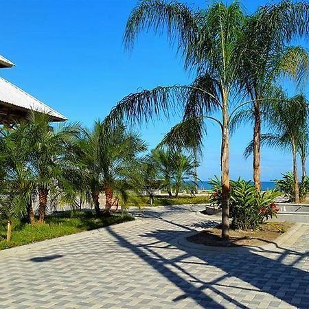 Uw Oasis Hotel La Ceiba Buitenkant foto
